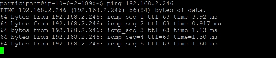 ping